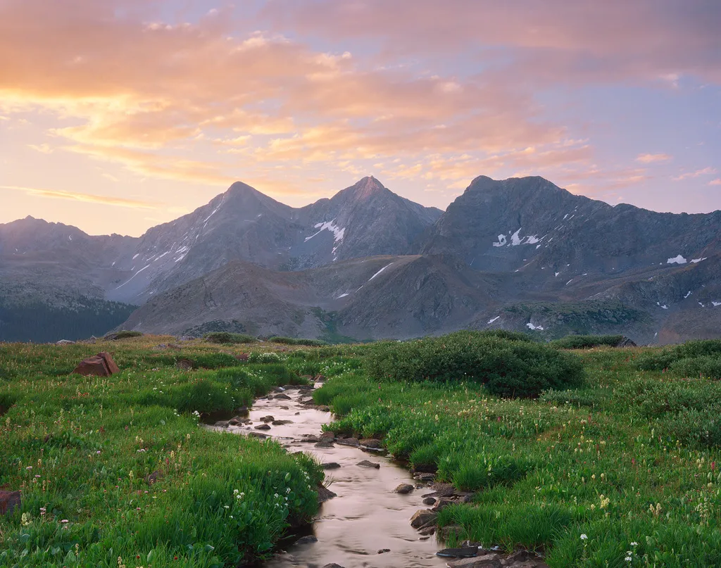 大象传媒 - 自然科学纪录片影像